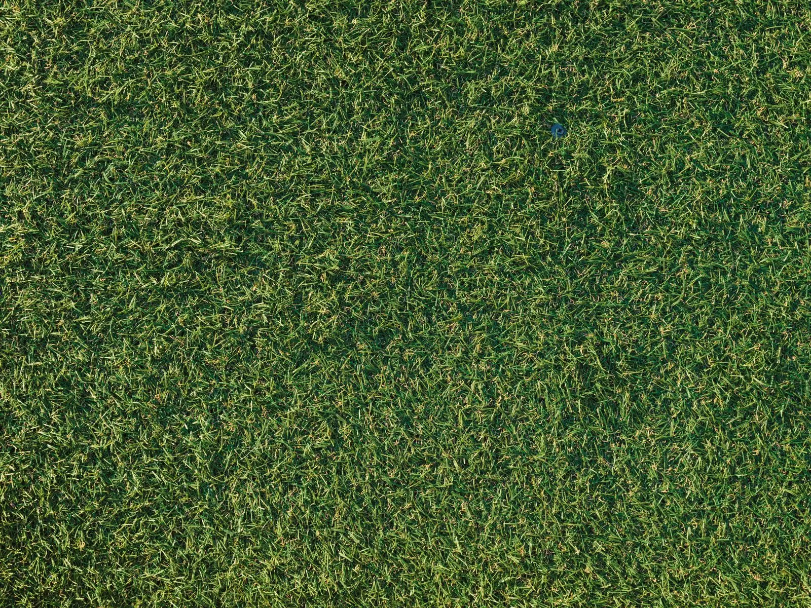 Close view of dense green artificial turf