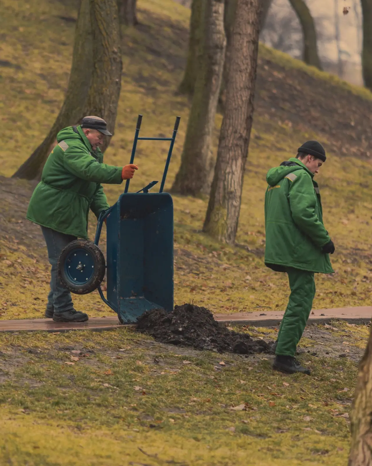 Landscape crew members with a wheelbarrow tending a planting bed